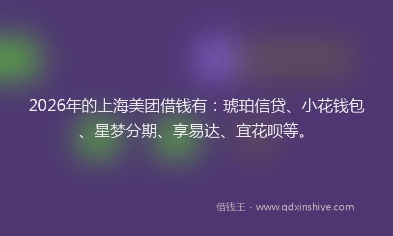 2026年的上海美团借钱有：琥珀信贷、小花钱包、星梦分期、享易达、宜花呗等。