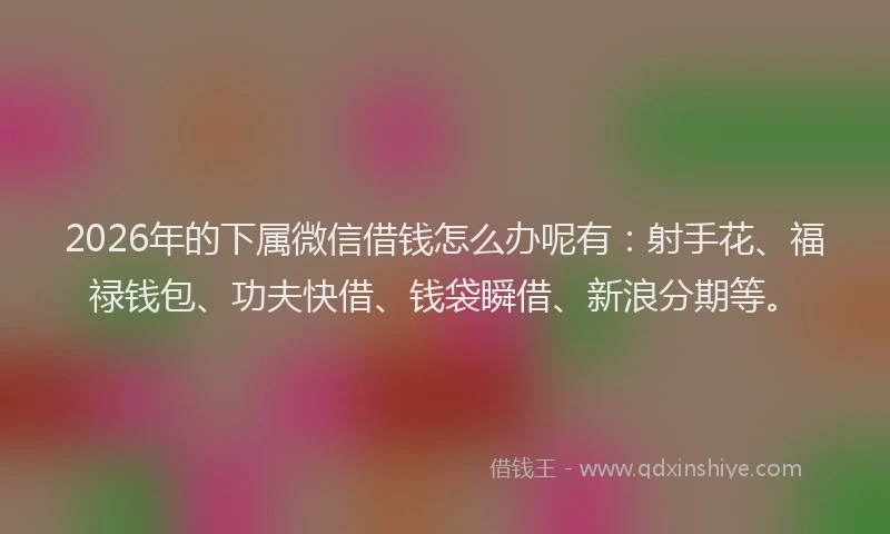 2026年的下属微信借钱怎么办呢有：射手花、福禄钱包、功夫快借、钱袋瞬借、新浪分期等。