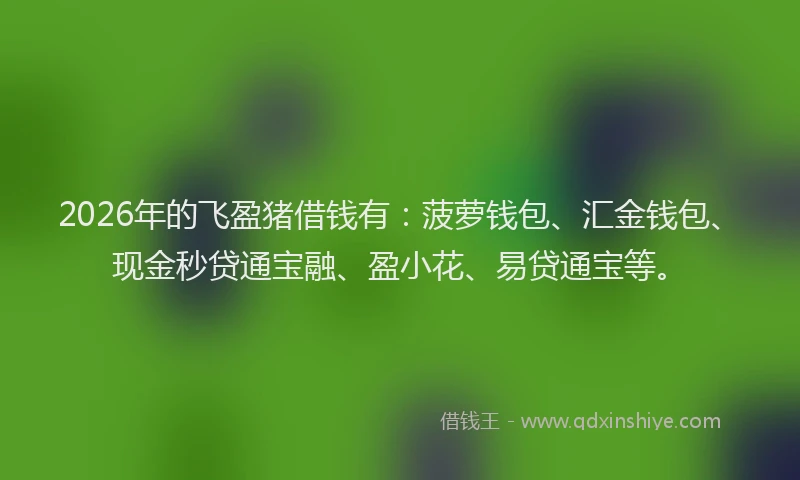 2026年的飞盈猪借钱有：菠萝钱包、汇金钱包、现金秒贷通宝融、盈小花、易贷通宝等。