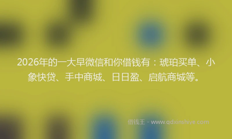 2026年的一大早微信和你借钱有：琥珀买单、小象快贷、手中商城、日日盈、启航商城等。