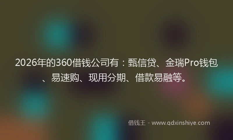 2026年的360借钱公司有：甄信贷、金瑞Pro钱包、易速购、现用分期、借款易融等。