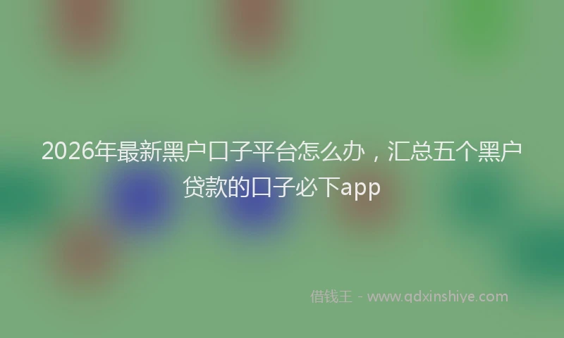 2026年最新黑户口子平台怎么办，汇总五个黑户贷款的口子必下app