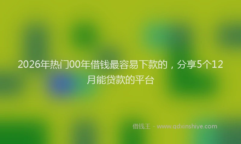 2026年热门00年借钱最容易下款的，分享5个12月能贷款的平台