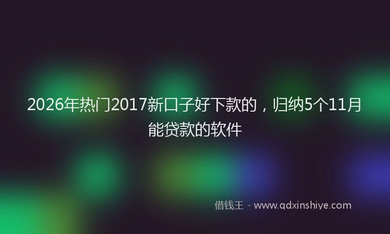 2026年热门2017新口子好下款的，归纳5个11月能贷款的软件