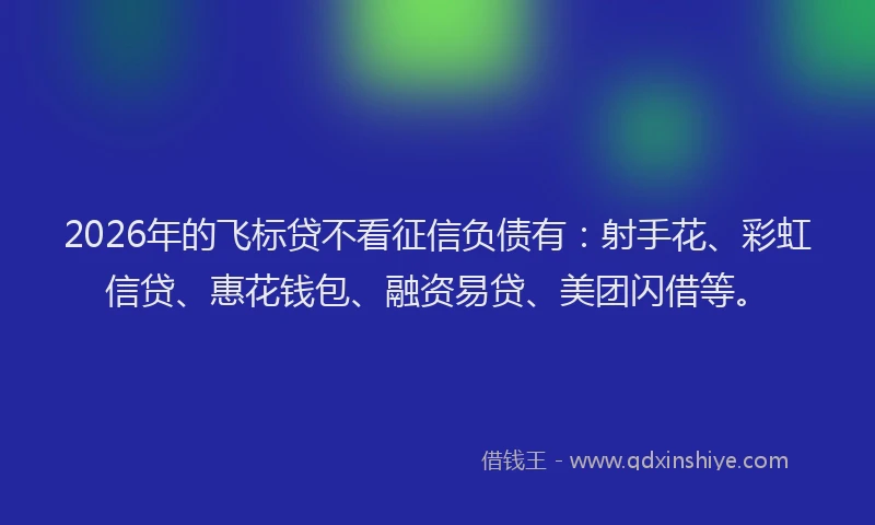 2026年的飞标贷不看征信负债有：射手花、彩虹信贷、惠花钱包、融资易贷、美团闪借等。