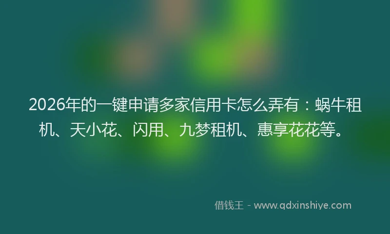 2026年的一键申请多家信用卡怎么弄有：蜗牛租机、天小花、闪用、九梦租机、惠享花花等。
