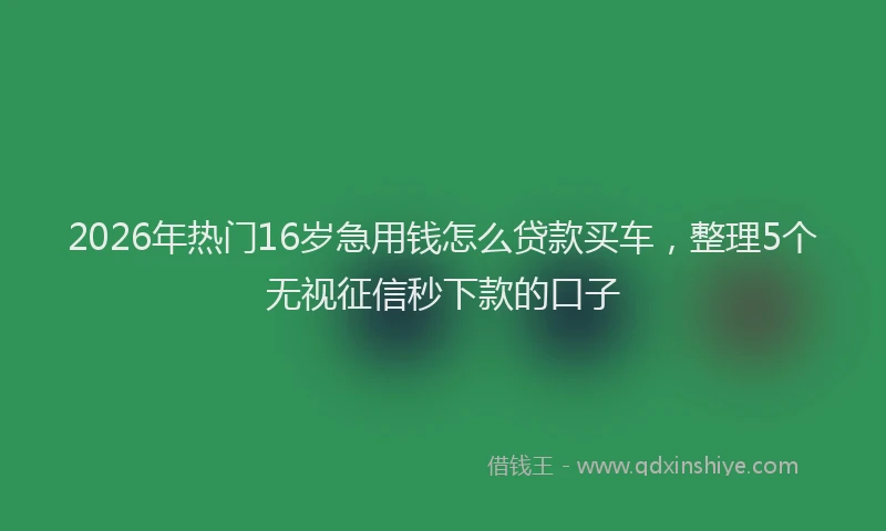 2026年热门16岁急用钱怎么贷款买车，整理5个无视征信秒下款的口子
