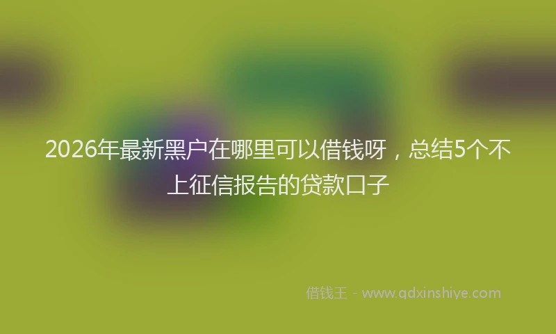 2026年最新黑户在哪里可以借钱呀，总结5个不上征信报告的贷款口子