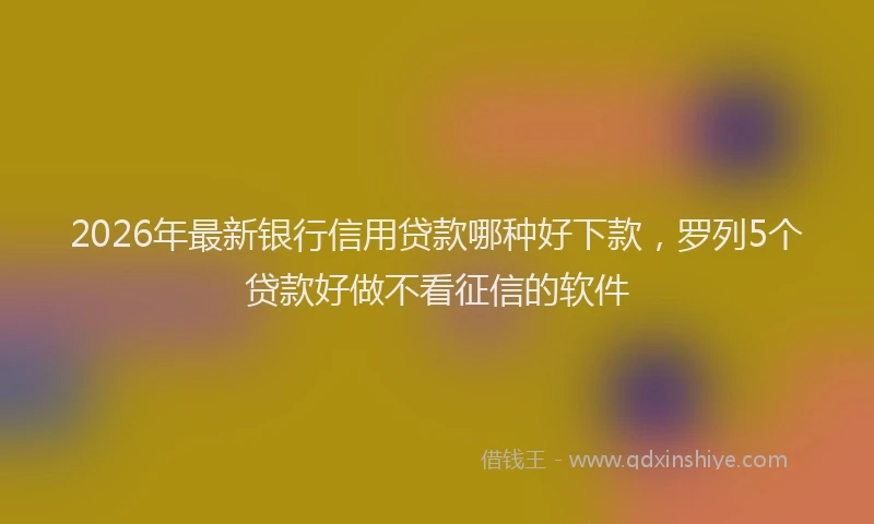 2026年最新银行信用贷款哪种好下款，罗列5个贷款好做不看征信的软件