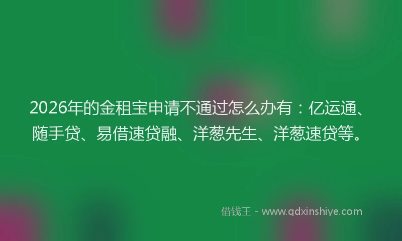 2026年的金租宝申请不通过怎么办有：亿运通、随手贷、易借速贷融、洋葱先生、洋葱速贷等。