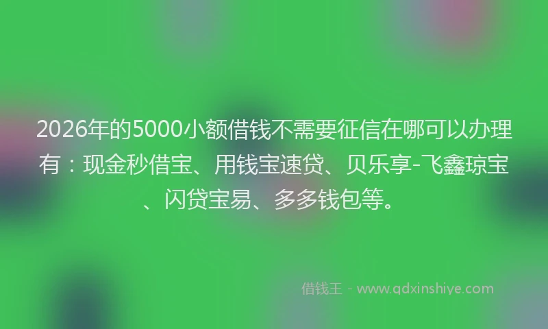 2026年的5000小额借钱不需要征信在哪可以办理有：现金秒借宝、用钱宝速贷、贝乐享-飞鑫琼宝、闪贷宝易、多多钱包等。