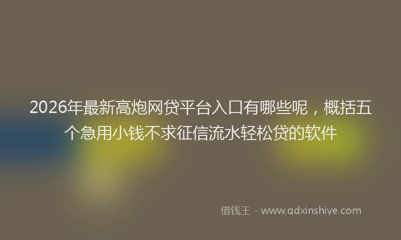 2026年最新高炮网贷平台入口有哪些呢，概括五个急用小钱不求征信流水轻松贷的软件