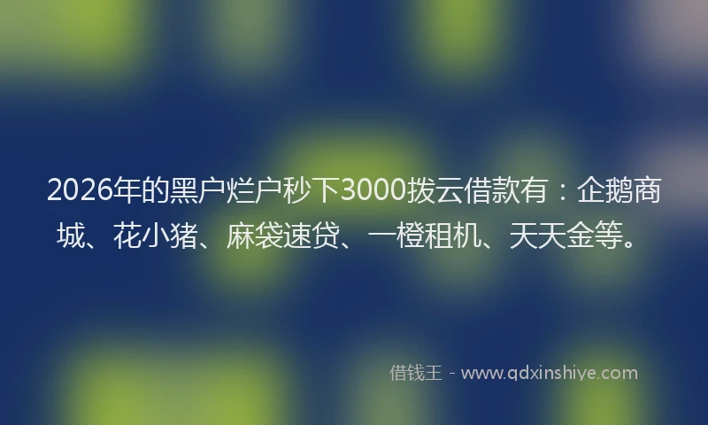 2026年的黑户烂户秒下3000拨云借款有：企鹅商城、花小猪、麻袋速贷、一橙租机、天天金等。