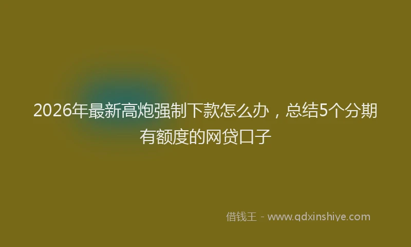 2026年最新高炮强制下款怎么办，总结5个分期有额度的网贷口子