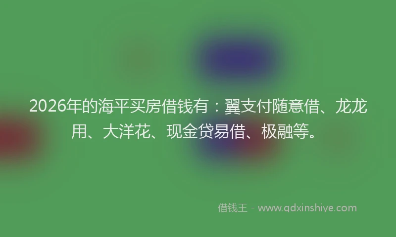 2026年的海平买房借钱有：翼支付随意借、龙龙用、大洋花、现金贷易借、极融等。