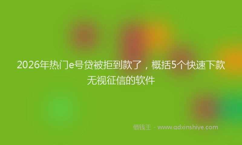 2026年热门e号贷被拒到款了，概括5个快速下款无视征信的软件
