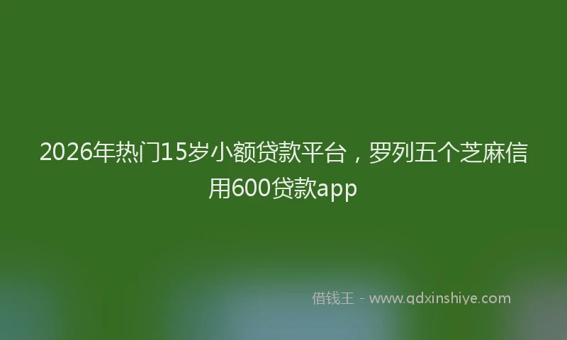 2026年热门15岁小额贷款平台，罗列五个芝麻信用600贷款app