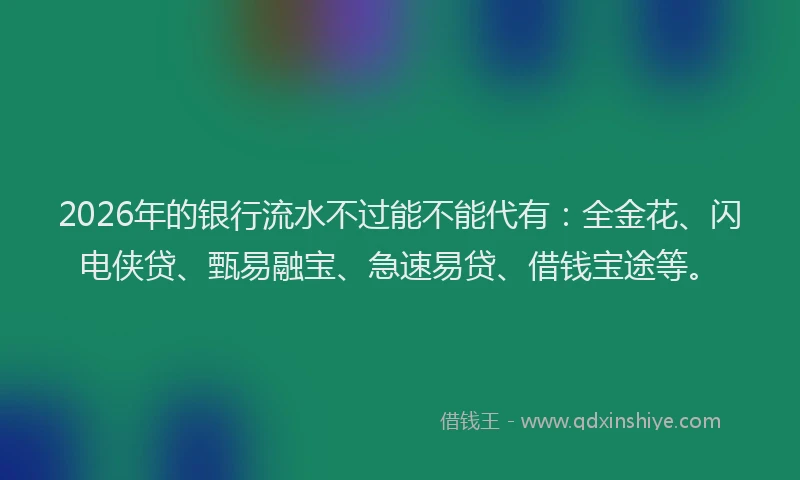 2026年的银行流水不过能不能代有：全金花、闪电侠贷、甄易融宝、急速易贷、借钱宝途等。
