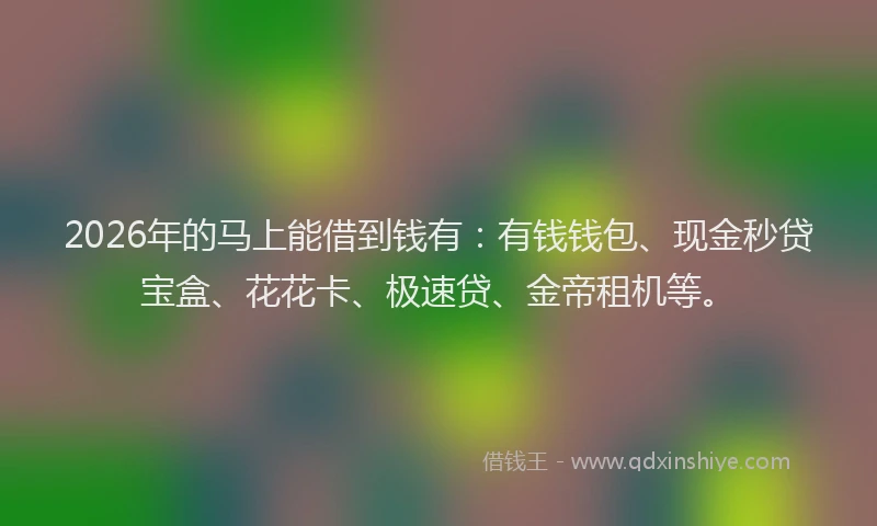 2026年的马上能借到钱有：有钱钱包、现金秒贷宝盒、花花卡、极速贷、金帝租机等。