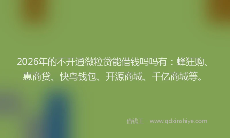 2026年的不开通微粒贷能借钱吗吗有：蜂狂购、惠商贷、快鸟钱包、开源商城、千亿商城等。