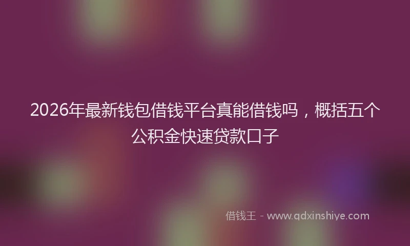 2026年最新钱包借钱平台真能借钱吗，概括五个公积金快速贷款口子