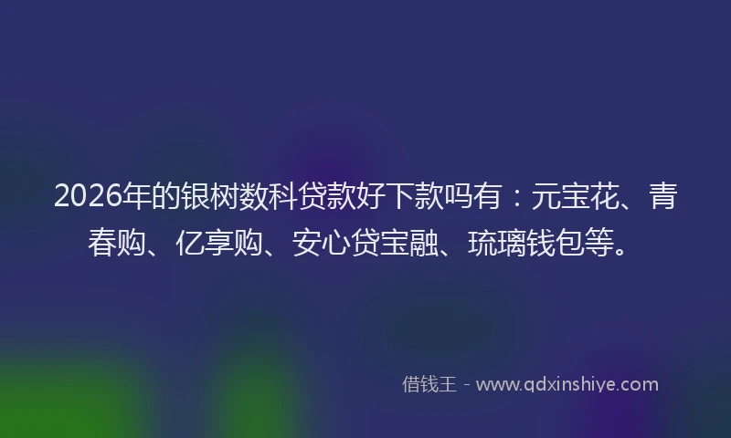 2026年的银树数科贷款好下款吗有：元宝花、青春购、亿享购、安心贷宝融、琉璃钱包等。