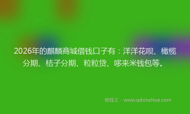 2026年的麒麟商城借钱口子有：洋洋花呗、橄榄分期、桔子分期、粒粒贷、哆来米钱包等。