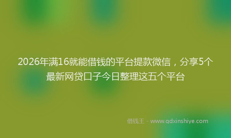 2026年满16就能借钱的平台提款微信，分享5个最新网贷口子今日整理这五个平台