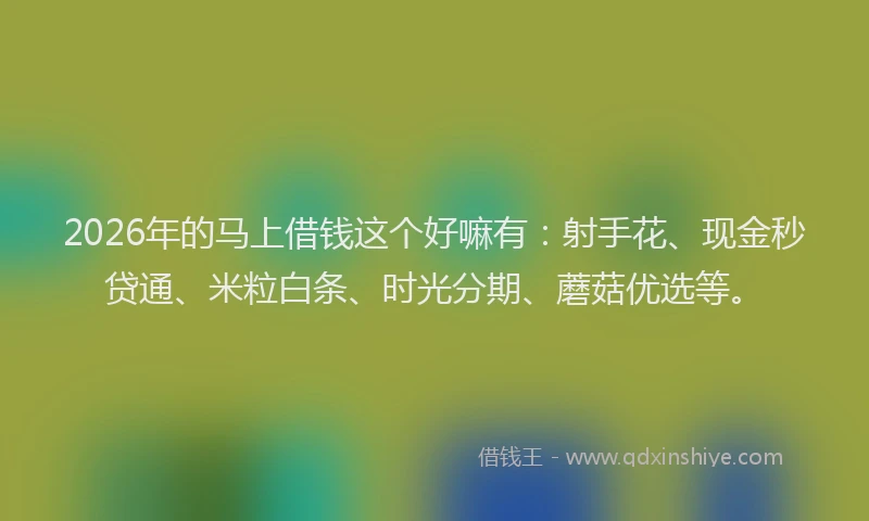 2026年的马上借钱这个好嘛有：射手花、现金秒贷通、米粒白条、时光分期、蘑菇优选等。
