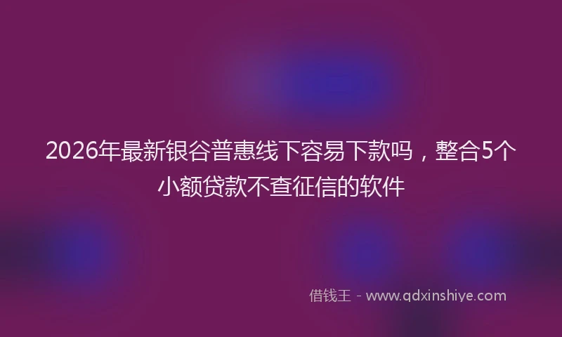 2026年最新银谷普惠线下容易下款吗，整合5个小额贷款不查征信的软件