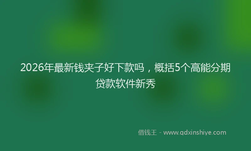 2026年最新钱夹子好下款吗，概括5个高能分期贷款软件新秀