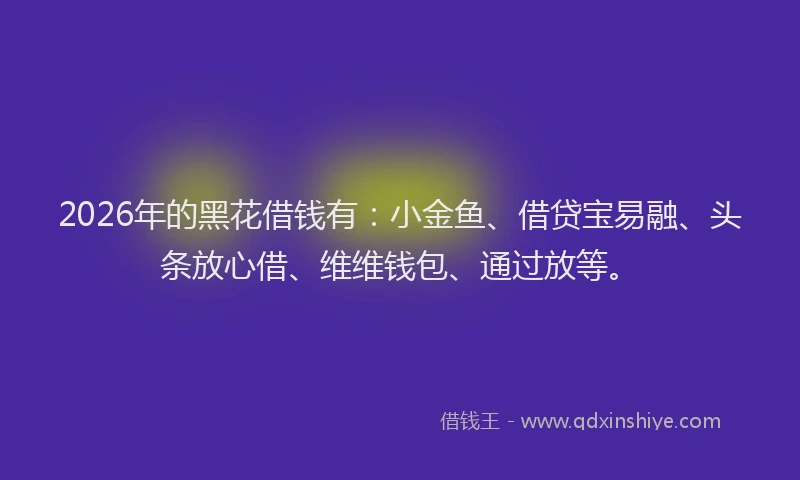 2026年的黑花借钱有：小金鱼、借贷宝易融、头条放心借、维维钱包、通过放等。