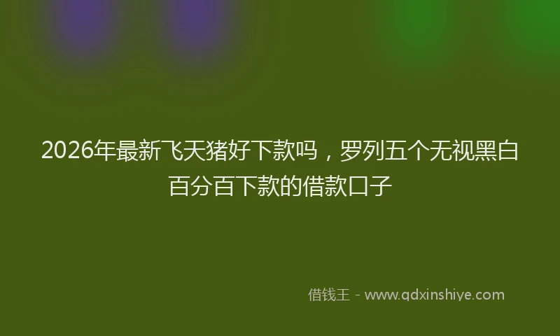 2026年最新飞天猪好下款吗，罗列五个无视黑白百分百下款的借款口子
