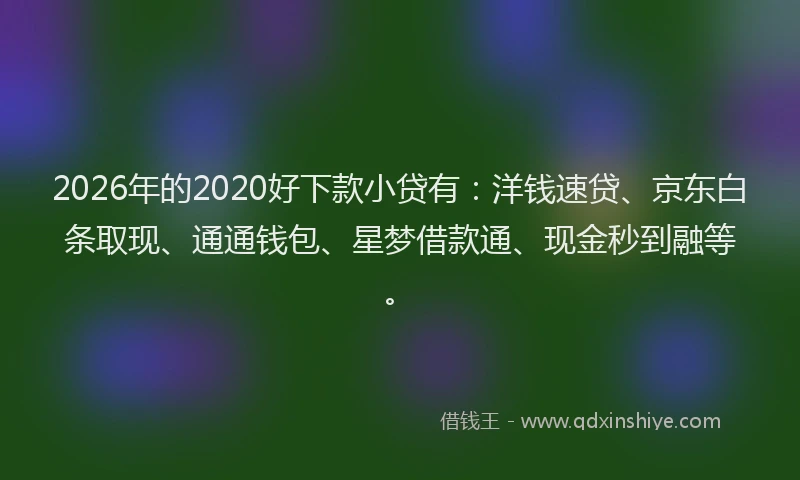 2026年的2020好下款小贷有：洋钱速贷、京东白条取现、通通钱包、星梦借款通、现金秒到融等。