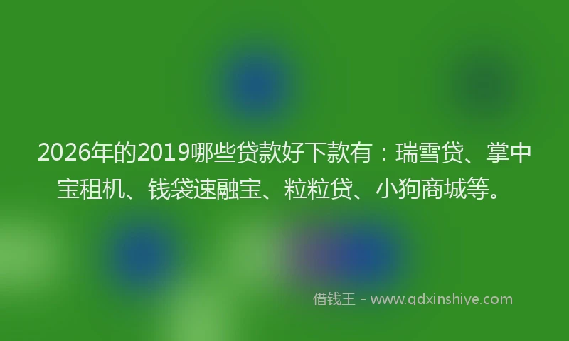 2026年的2019哪些贷款好下款有：瑞雪贷、掌中宝租机、钱袋速融宝、粒粒贷、小狗商城等。