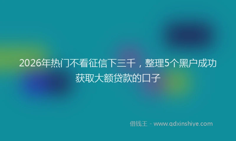 2026年热门不看征信下三千，整理5个黑户成功获取大额贷款的口子
