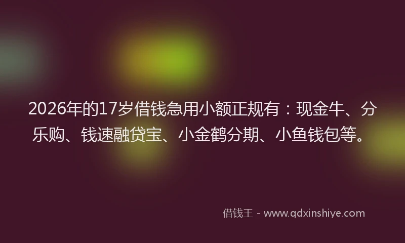2026年的17岁借钱急用小额正规有：现金牛、分乐购、钱速融贷宝、小金鹤分期、小鱼钱包等。