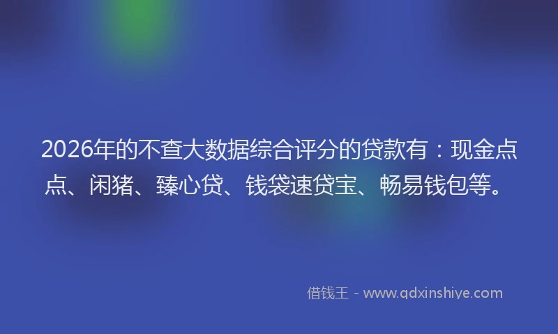 2026年的不查大数据综合评分的贷款有：现金点点、闲猪、臻心贷、钱袋速贷宝、畅易钱包等。