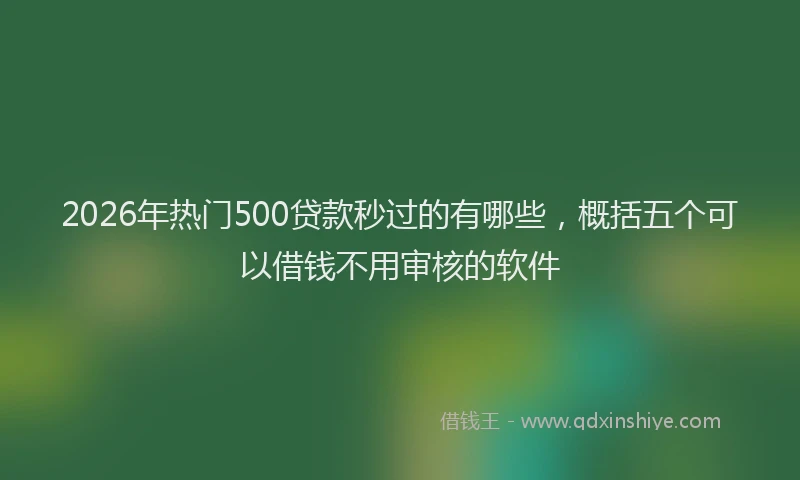 2026年热门500贷款秒过的有哪些，概括五个可以借钱不用审核的软件