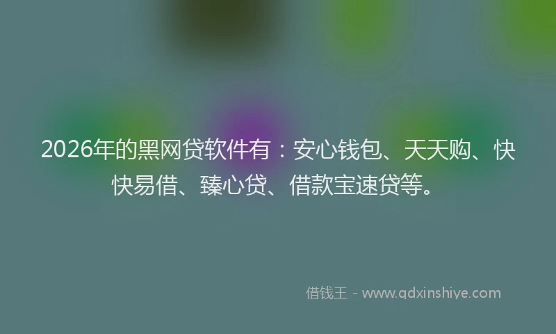 2026年的黑网贷软件有：安心钱包、天天购、快快易借、臻心贷、借款宝速贷等。