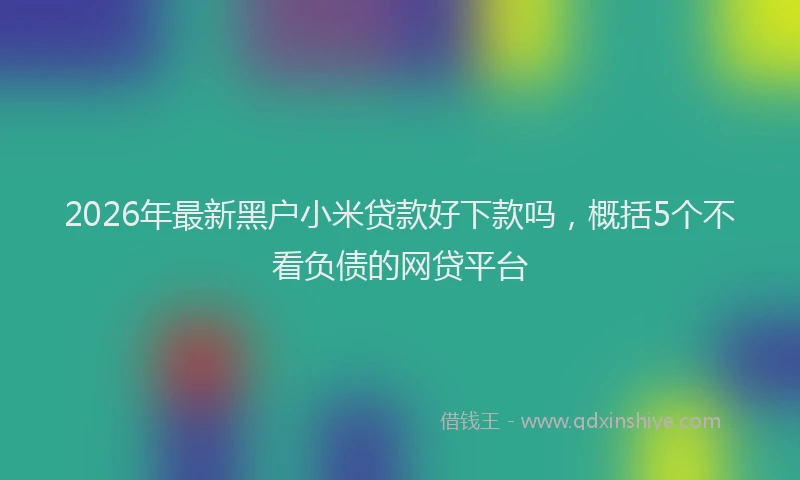 2026年最新黑户小米贷款好下款吗，概括5个不看负债的网贷平台