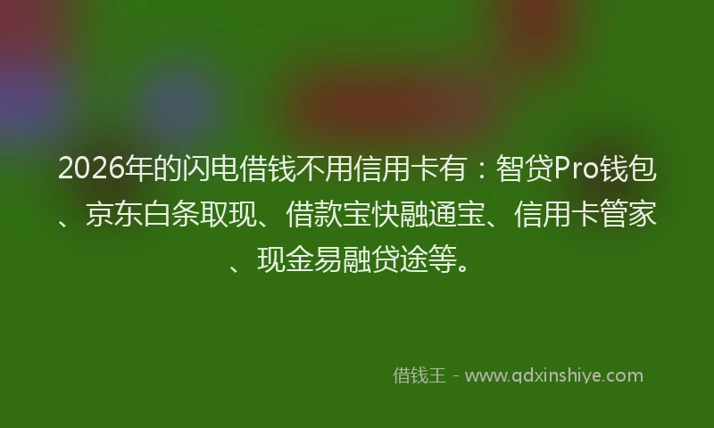2026年的闪电借钱不用信用卡有：智贷Pro钱包、京东白条取现、借款宝快融通宝、信用卡管家、现金易融贷途等。