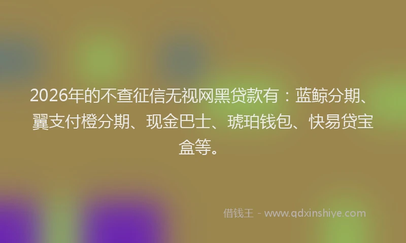 2026年的不查征信无视网黑贷款有：蓝鲸分期、翼支付橙分期、现金巴士、琥珀钱包、快易贷宝盒等。