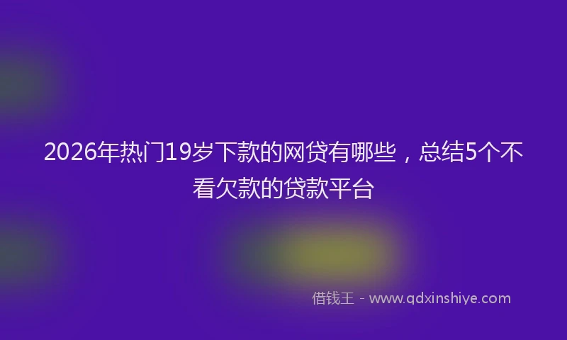 2026年热门19岁下款的网贷有哪些，总结5个不看欠款的贷款平台
