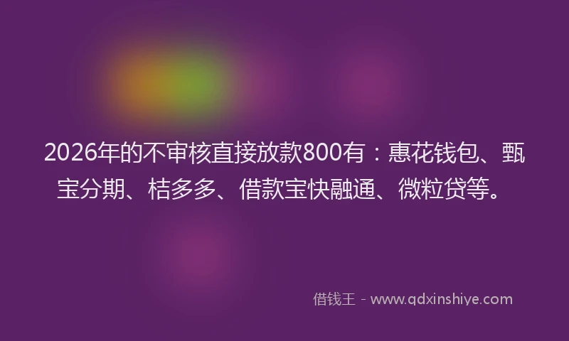 2026年的不审核直接放款800有：惠花钱包、甄宝分期、桔多多、借款宝快融通、微粒贷等。