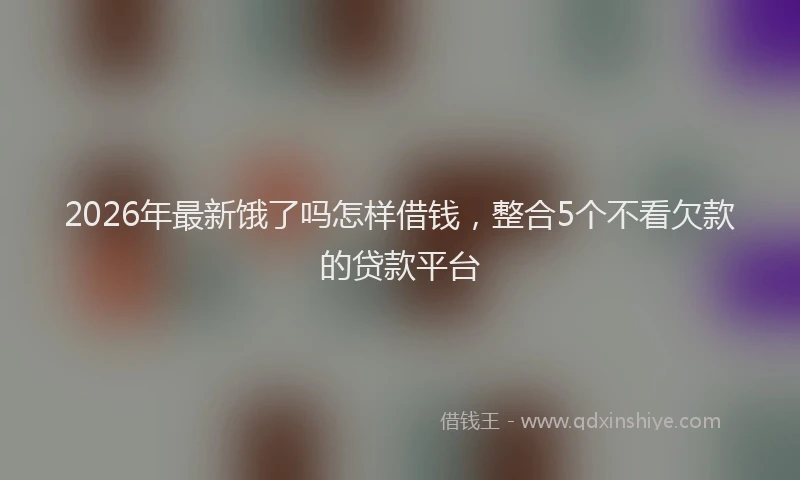 2026年最新饿了吗怎样借钱，整合5个不看欠款的贷款平台
