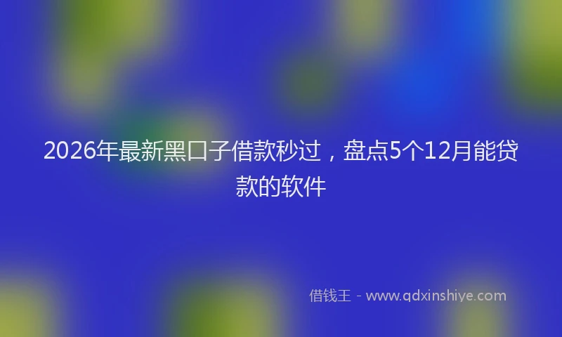 2026年最新黑口子借款秒过，盘点5个12月能贷款的软件