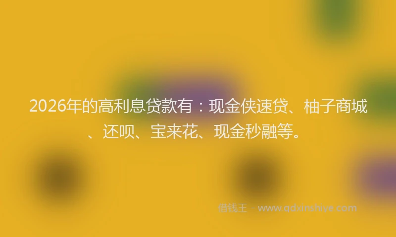 2026年的高利息贷款有：现金侠速贷、柚子商城、还呗、宝来花、现金秒融等。