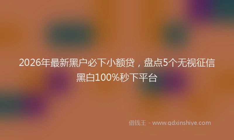 2026年最新黑户必下小额贷，盘点5个无视征信黑白100%秒下平台