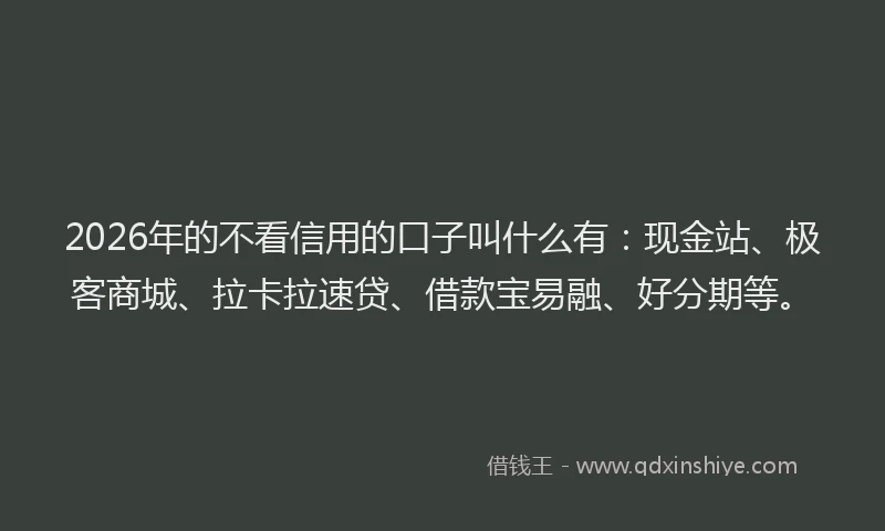 2026年的不看信用的口子叫什么有：现金站、极客商城、拉卡拉速贷、借款宝易融、好分期等。
